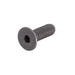 Picture of a Black Oxide Metric 10.9 Flat Head Socket Cap Screw