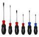 Picture of a 6 Piece Proferred Acetate Screwdriver Set